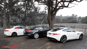 Jaguar Australia Targa & Show Cars