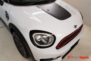 F60 Countryman Bonnet Stripe