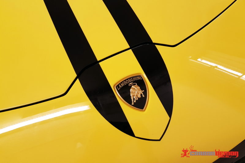 Lamborghini Performate Custom Stripe