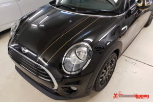 Mini F56 Gold Bonnet Stripe