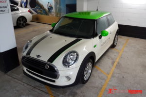 Mini Ray Custom Colour Roof Wrap