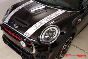 Custom Stripe for Mini